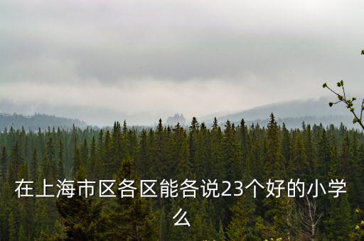 上海市著名小學排名榜，上海小學上海市寄宿制小學排名