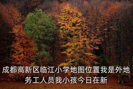 成都高新區臨江小學地圖位置我是外地務工人員我小孩今日在新