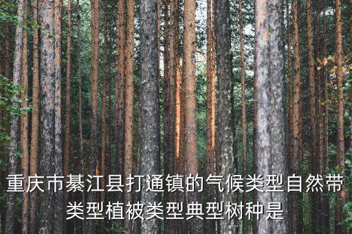 重慶市綦江縣打通鎮天氣預報，重慶綦江打通是什么地方