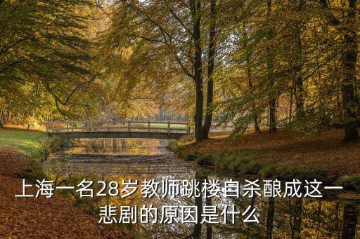 上海一名28歲教師跳樓自殺釀成這一悲劇的原因是什么