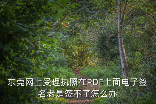 一窗通電子簽名簽不了，東莞網(wǎng)上受理執(zhí)照在PDF上面電子簽名老是簽不了怎么辦