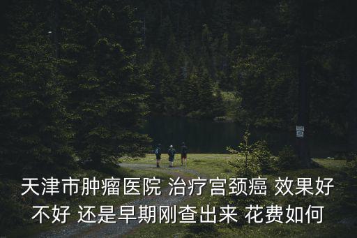 天津市腫瘤醫(yī)院 治療宮頸癌 效果好不好 還是早期剛查出來 花費(fèi)如何