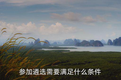 參加遴選需要滿(mǎn)足什么條件