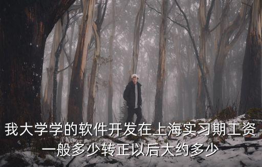 我大學學的軟件開發在上海實習期工資一般多少轉正以后大約多少