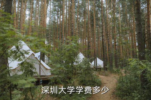 深圳大學學費多少