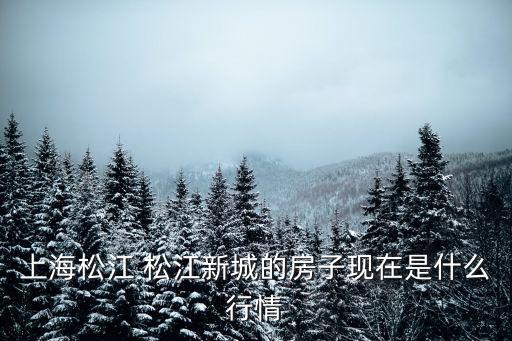 上海松江 松江新城的房子現(xiàn)在是什么行情