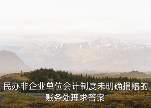 民辦非企業(yè)單位會(huì)計(jì)制度未明確捐贈(zèng)的賬務(wù)處理求答案