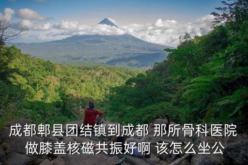 成都郫縣團(tuán)結(jié)鎮(zhèn)到成都 那所骨科醫(yī)院 做膝蓋核磁共振好啊 該怎么坐公