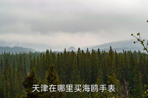 天津在哪里買海鷗手表