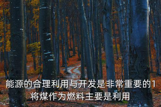 能源的合理利用與開發是非常重要的1將煤作為燃料主要是利用