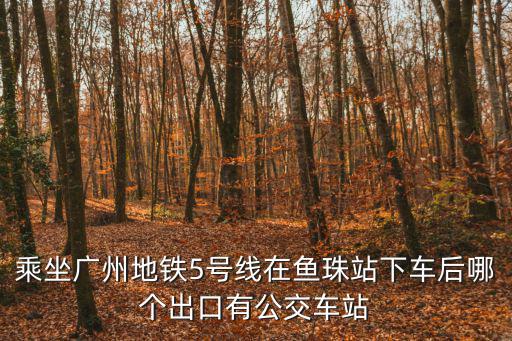 乘坐廣州地鐵5號線在魚珠站下車后哪個出口有公交車站