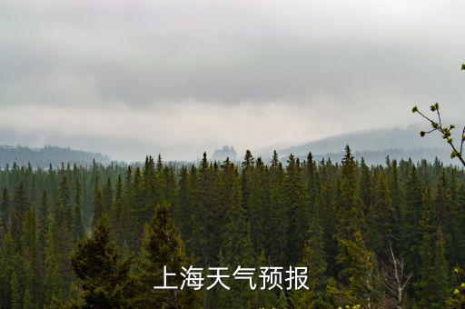 上海天氣預報