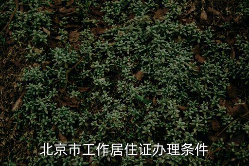 北京市工作居住證辦理?xiàng)l件