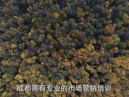 成都哪有專業的市場營銷培訓