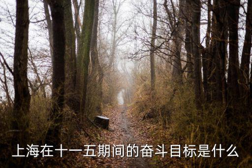 上海在十一五期間的奮斗目標是什么