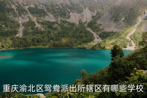 重慶渝北區鴛鴦派出所轄區有哪些學校