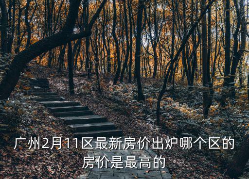 廣州2月11區最新房價出爐哪個區的房價是最高的