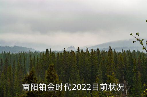 南陽鉑金時代2022目前狀況