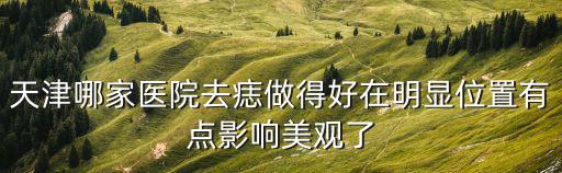 天津市第五中心醫(yī)院祛痣，天津哪家醫(yī)院去痣做得好在明顯位置有點影響美觀了