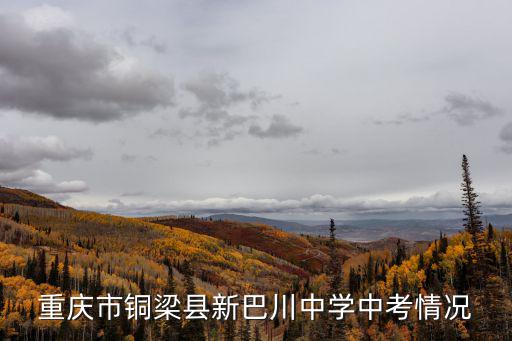 重慶市銅梁縣新巴川中學(xué)中考情況
