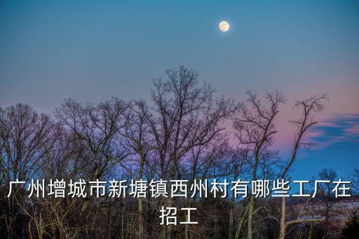 廣州增城市新塘鎮西州村有哪些工廠在招工