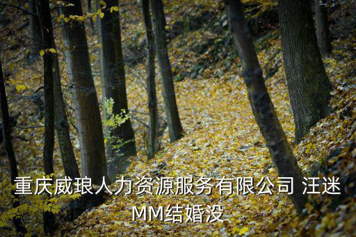 重慶威瑯人力資源服務有限公司 汪迷MM結婚沒