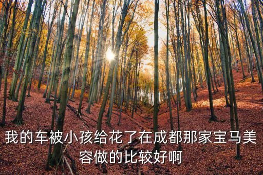 我的車被小孩給花了在成都那家寶馬美容做的比較好啊