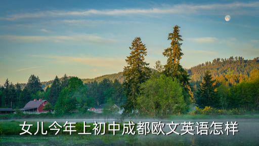 2019年成都市鍋爐調(diào)查，成都有多少家國美電器