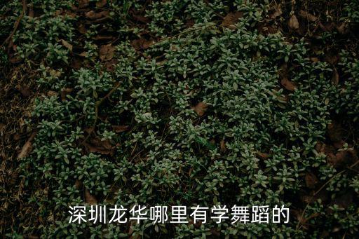 深圳龍華小白鴿舞蹈中心，深圳小白鴿舞蹈學(xué)校怎么樣 教學(xué)質(zhì)量和老師的責(zé)任心