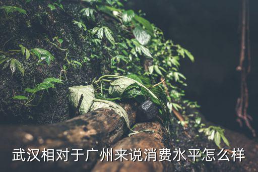 武漢相對于廣州來說消費水平怎么樣