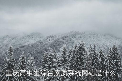 重慶高中生綜合素質系統網站是什么