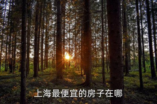 上海最便宜的房子在哪