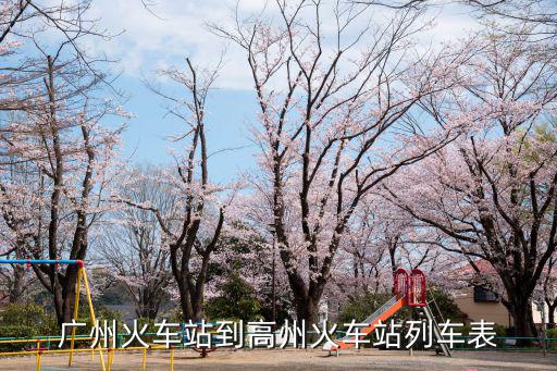廣州火車站到高州火車站列車表