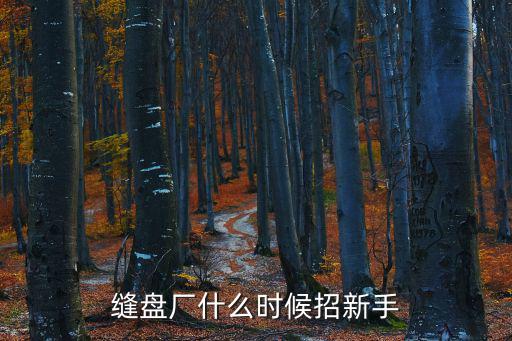 縫盤廠什么時(shí)候招新手