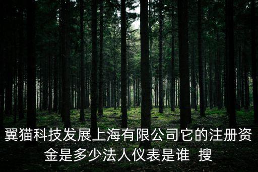 翼貓科技發展上海有限公司它的注冊資金是多少法人儀表是誰  搜