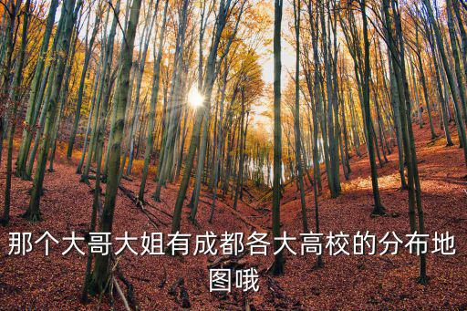 地圖成都市地圖查詢學校，成都市所有大學的地圖
