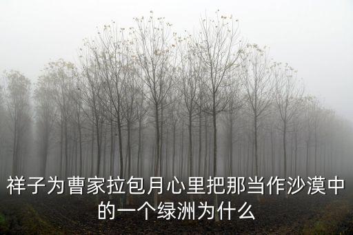 祥子為曹家拉包月心里把那當作沙漠中的一個綠洲為什么