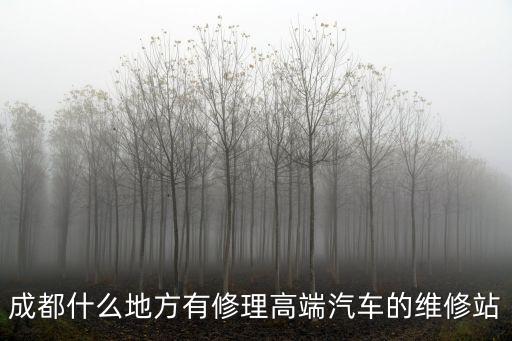 成都市專修寶馬，成都什么地方有修理高端汽車的維修站