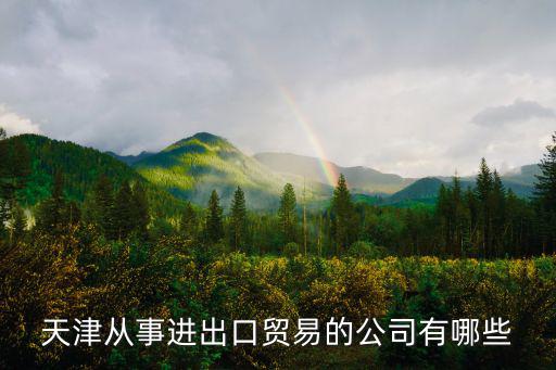 天津從事進出口貿易的公司有哪些