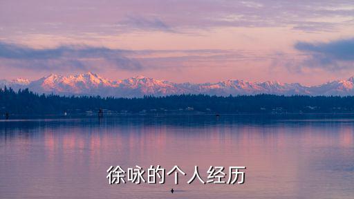 徐詠的個(gè)人經(jīng)歷