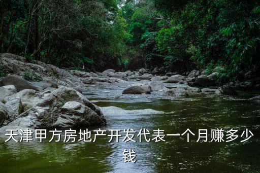 天津甲方房地產(chǎn)開發(fā)代表一個(gè)月賺多少錢