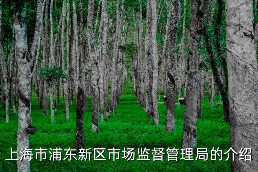 上海市浦東新區(qū)市場(chǎng)監(jiān)督管理局川沙，上海東育路255弄屬于哪個(gè)市場(chǎng)監(jiān)督管理局管轄