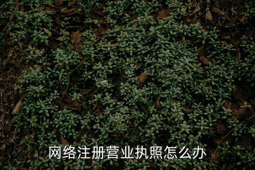 網(wǎng)絡(luò)注冊(cè)營(yíng)業(yè)執(zhí)照怎么辦