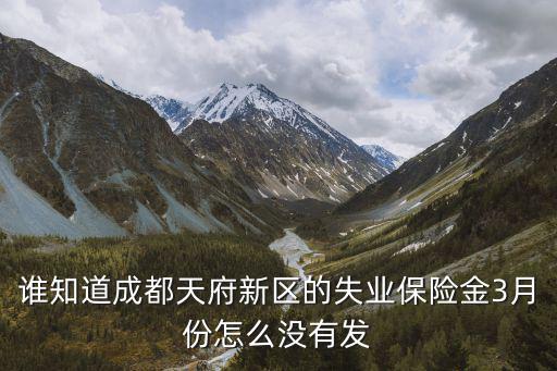 誰知道成都天府新區(qū)的失業(yè)保險金3月份怎么沒有發(fā)