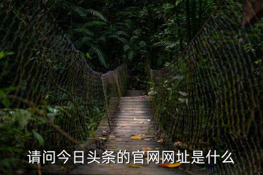 今日頭條極速版官網(wǎng)，今日頭條是