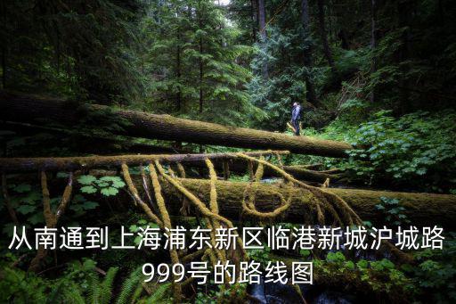 從南通到上海浦東新區臨港新城滬城路999號的路線圖