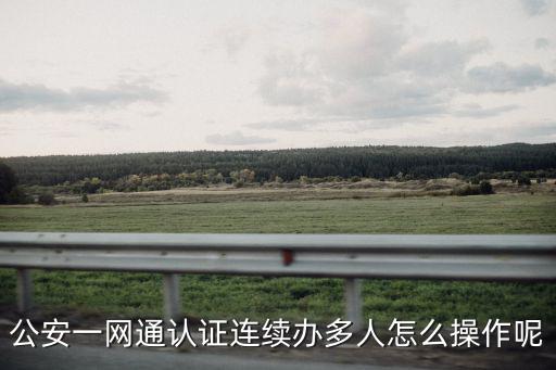 公安一網(wǎng)通認證連續(xù)辦多人怎么操作呢