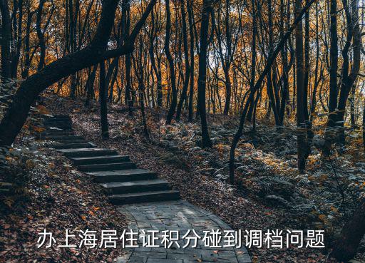 辦上海居住證積分碰到調(diào)檔問題
