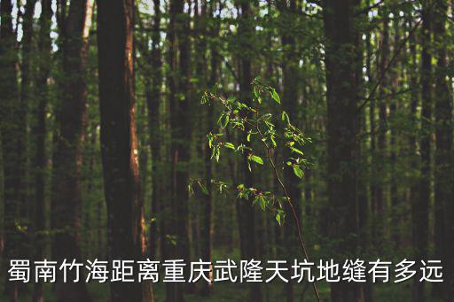 蜀南竹海距離重慶武隆天坑地縫有多遠