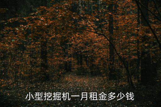 小型挖掘機一月租金多少錢